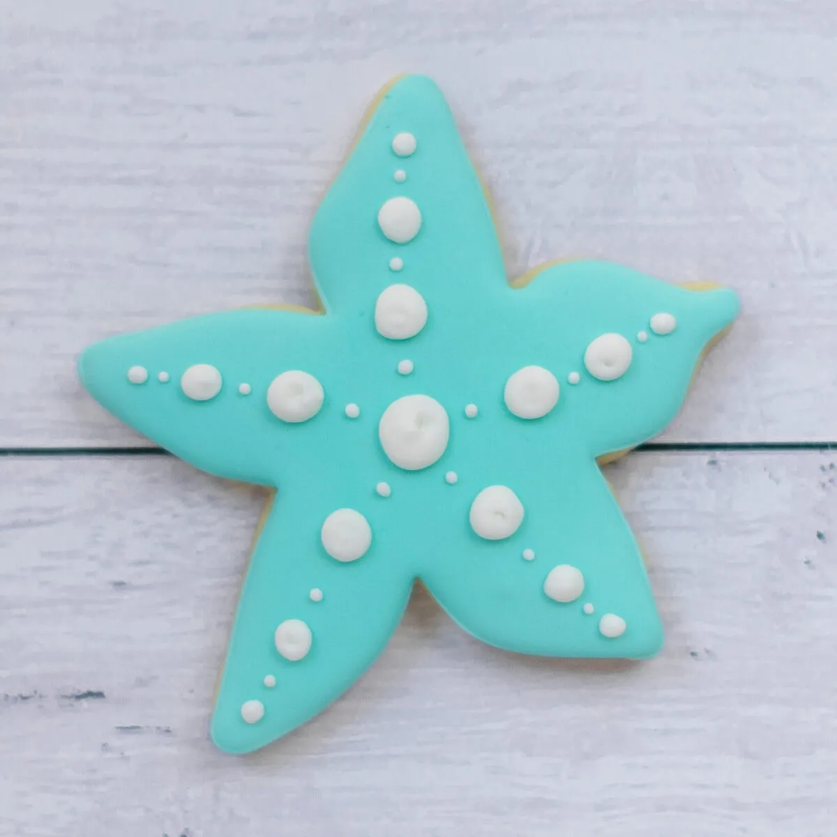 Birthday Cookies | Sail Away