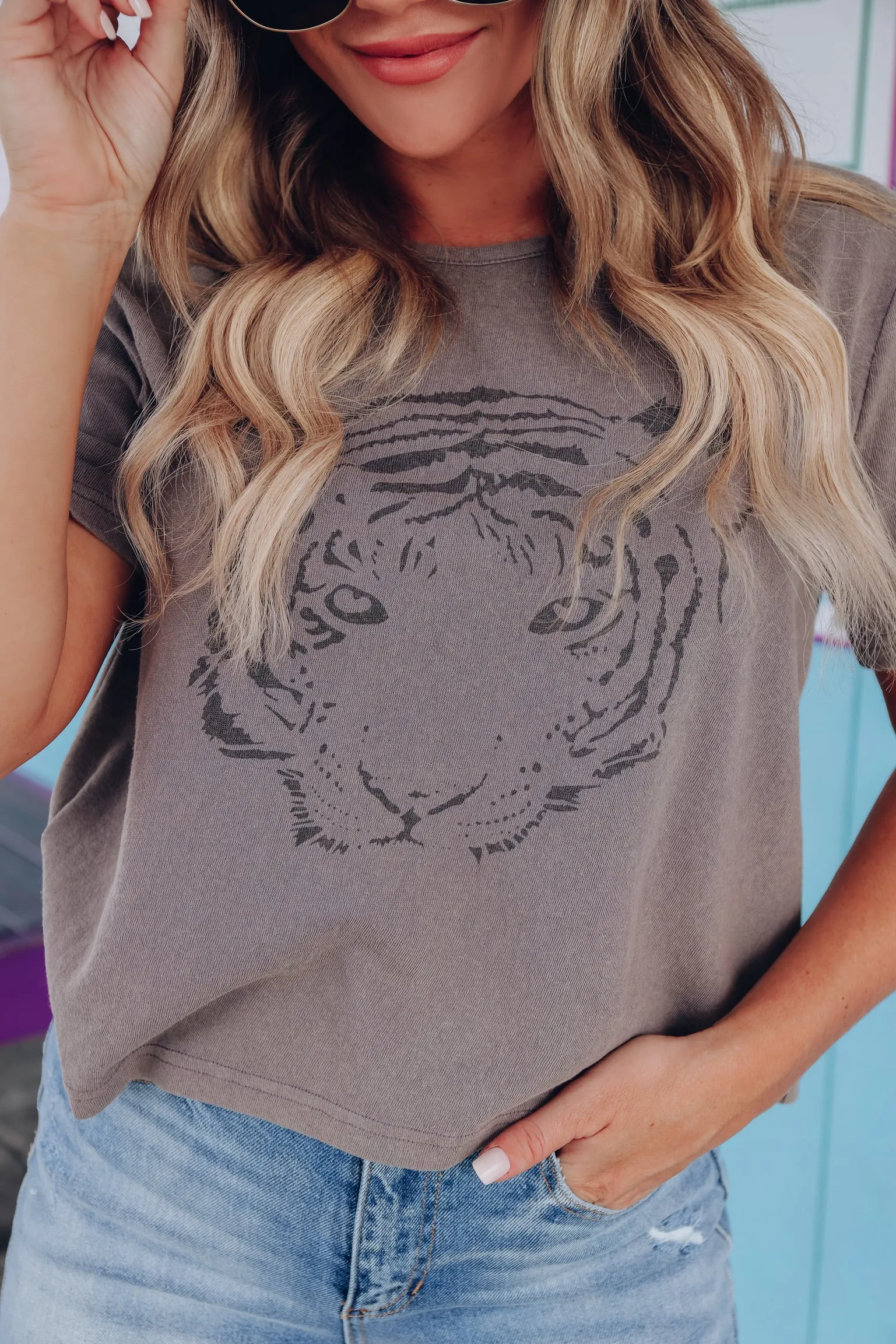 Grungy Tiger Distressed Graphic Tee - Grey