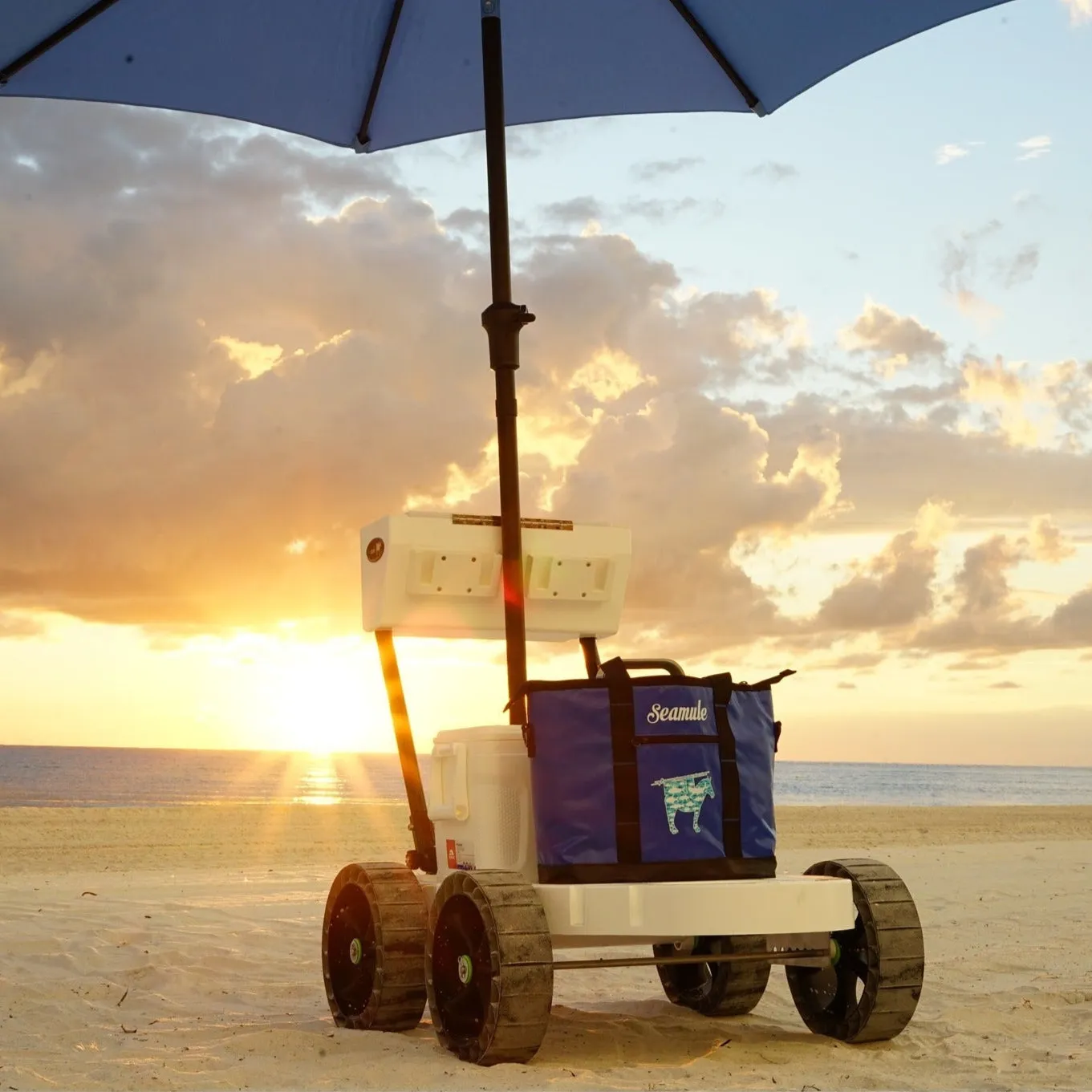 Seamule Beach Cart