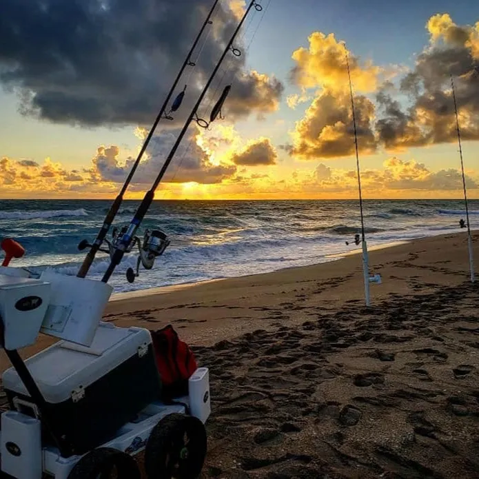 Seamule Beach Cart