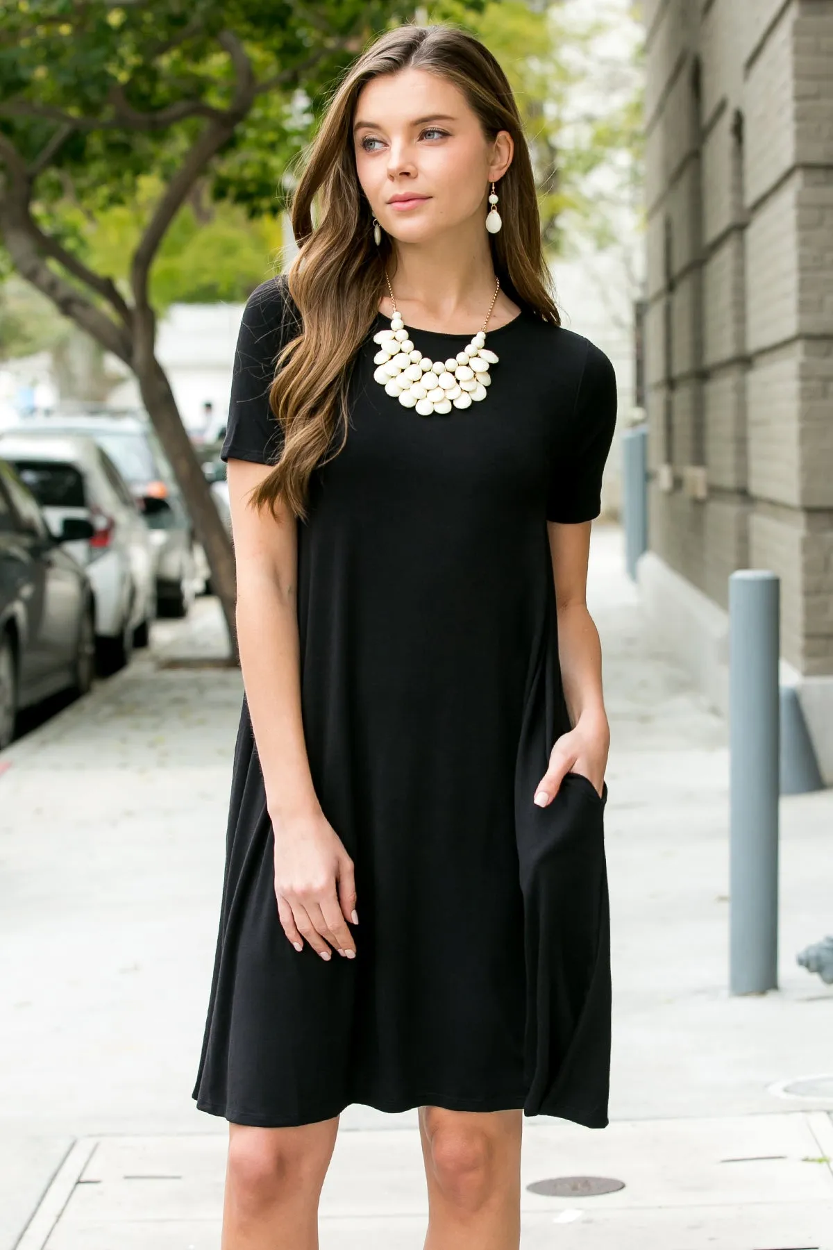 Short Sleeve Flared Pocket Dress